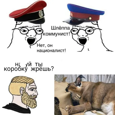 Шлёппа и коробка