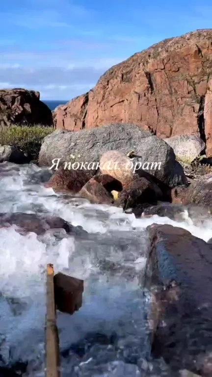 Я покакал, брат