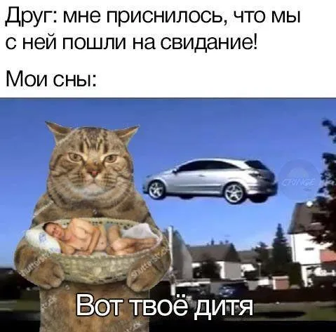 Кот с ребёнком и машиной
