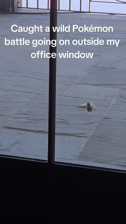 Wild Pokémon Battle Outside the Office