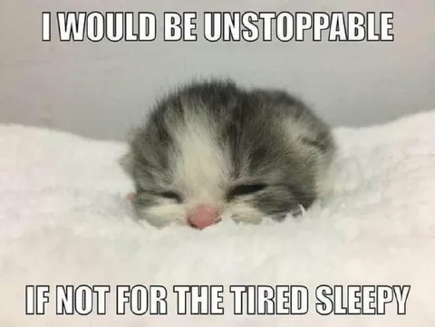 Sleepy Kitten Would Be Unstoppable