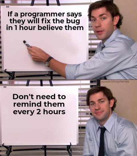 Programmer Bug Fix Promise