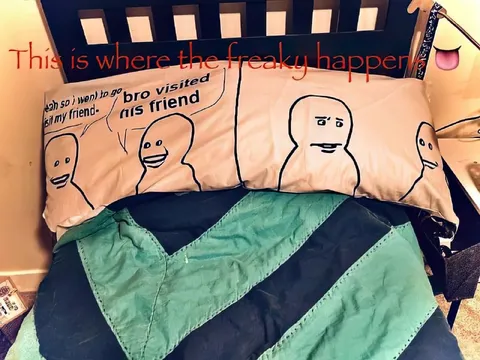 Bro Visited His Friend