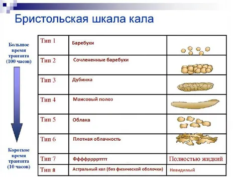 Бристольская шкала кала