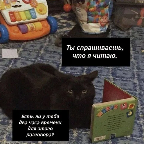 Кот читает два часа