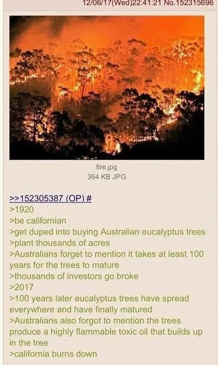 Australian Eucalyptus Investment Disaster