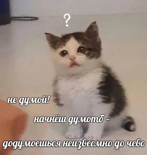 Не думой, а то додумаешься
