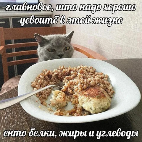 Белки, жиры и углеводы