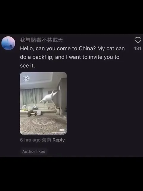 My Cat Can Do a Backflip