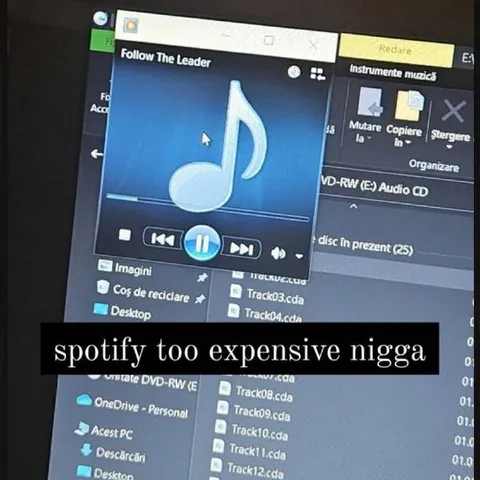 Spotify Too Expensive