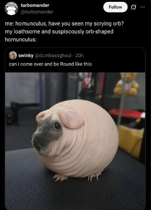 Suspiciously Orb-Shaped Homunculus