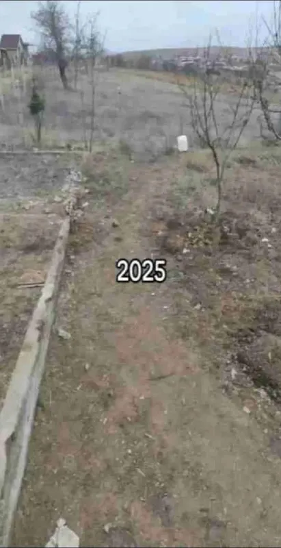 Заброшенный двор 2025