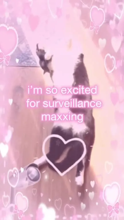 Cat Loves Surveillance Capitalism