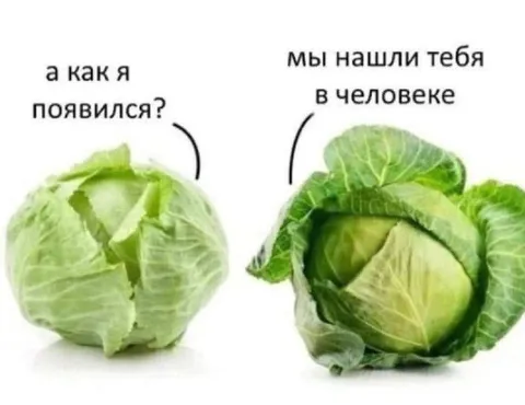 Капуста в человеке