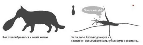 Кот и клоп-водомерка