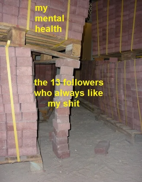My Mental Health and Loyal Followers