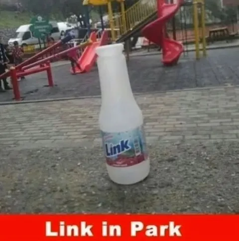 Link in Park