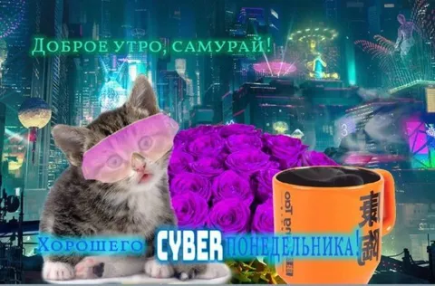 Доброе утро, самурай — киберпонедельник