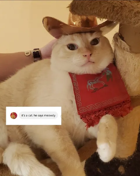 Cowboy Cat Says Meowdy