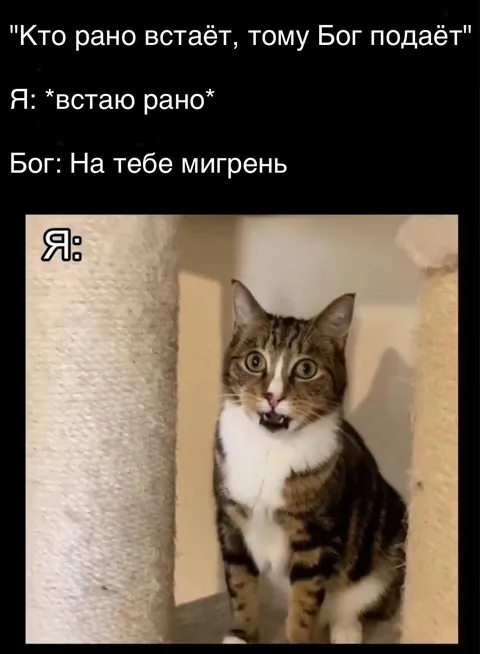 Рано встаёшь — получаешь мигрень