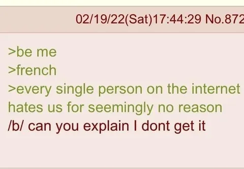 French People on the Internet