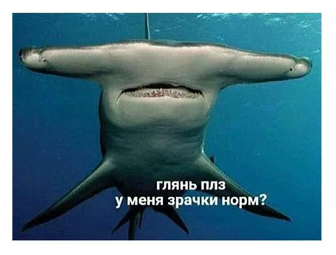 Глянь, у меня зрачки норм?
