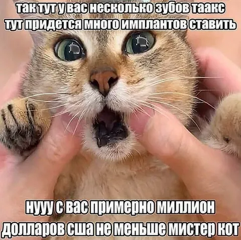 Миллион за зубные импланты