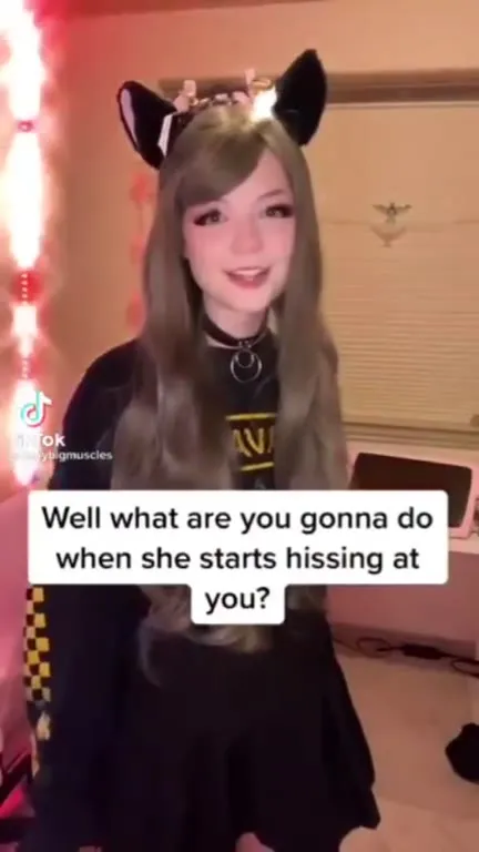 Catgirl Fantasy Meets Reality
