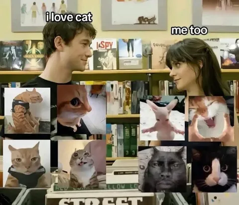 I Love Cats Me Too