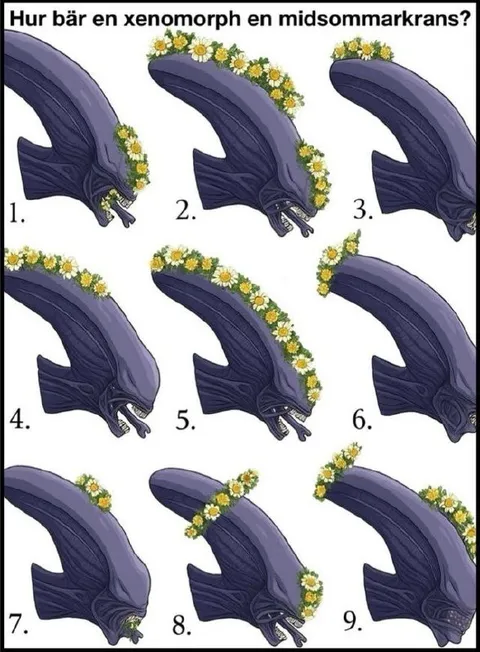 Hur bär en xenomorph en midsommarkrans?