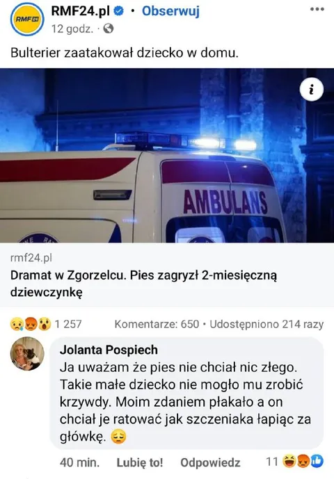 Pies chciał ratować dziecko