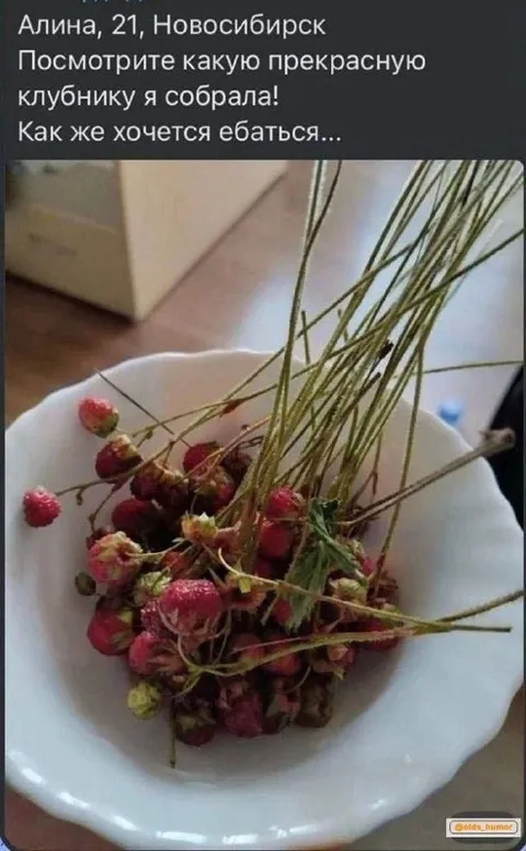 Прекрасная клубника из Новосибирска