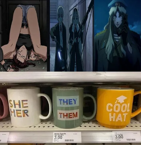Anime Pronoun Mug Shelf
