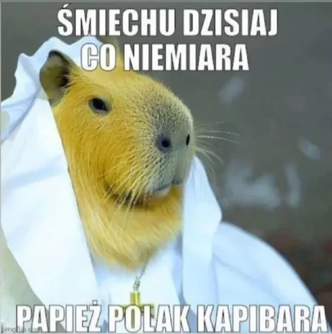 Papież Polak Kapibara