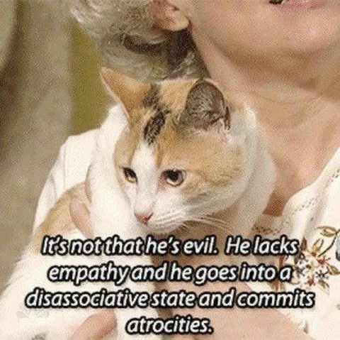 Cat Commits Atrocities