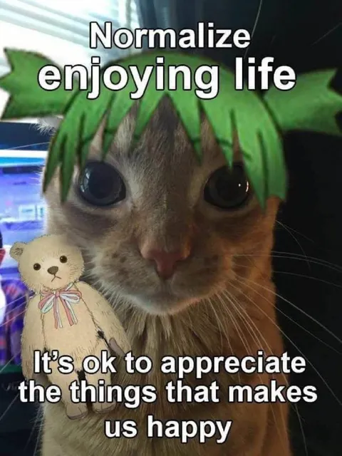 Normalize Enjoying Life