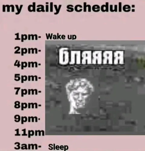My Daily Schedule Meme