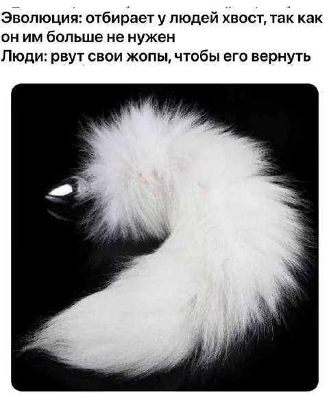 Люди возвращают утраченный хвост