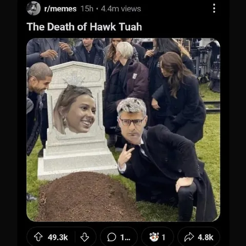 The Death of Hawk Tuah