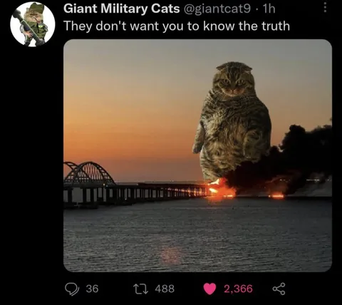 They Don't Want You to Know