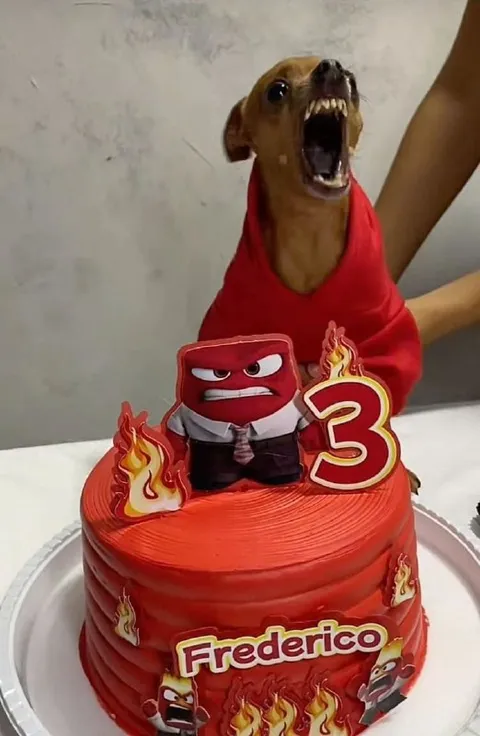 Angry Dog Birthday Cake