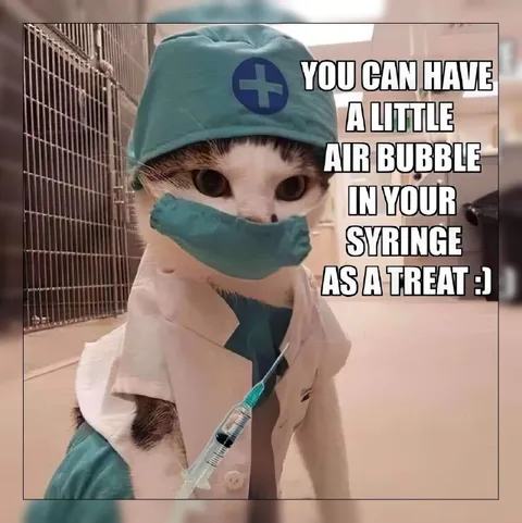 Cat Doctor Air Bubble Treat