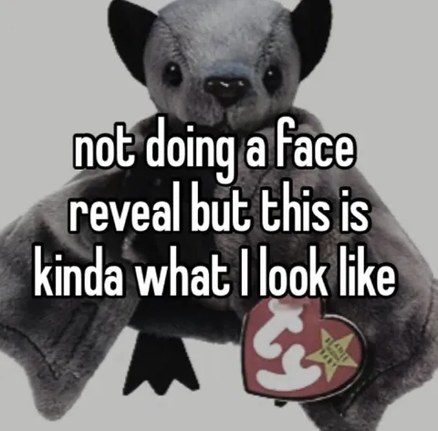 Anonymous Face Reveal Bear