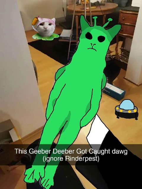 Geeber Deeber Got Caught
