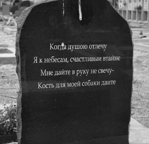 Эпитафия для собаки