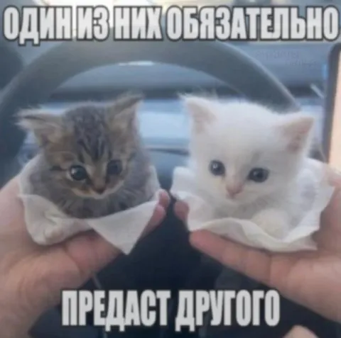 Один из них обязательно предаст