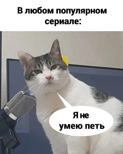 Кот не умеет петь
