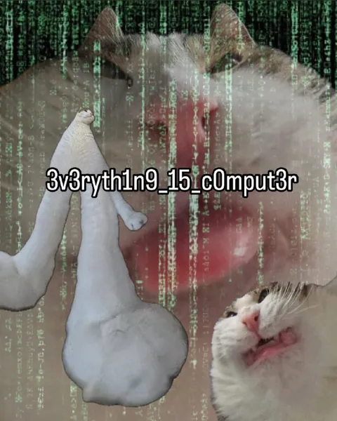 Everything Is Computer