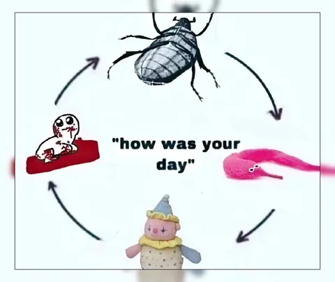 How Was Your Day Cycle