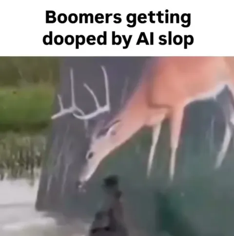 Boomers Getting Duped by AI Slop